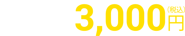 お試し体験1回3、000円(税込)